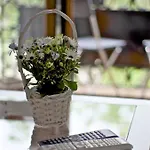 Apartament Emily Koszyce