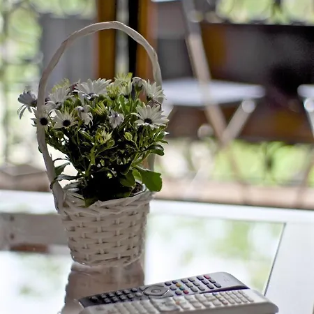 Apartament Emily Koszyce